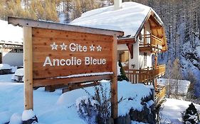 Gite Ancolie Bleue
